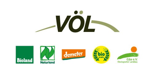 PFN-Hessen-Praxisforschungsnetzwerk-Logo-Voel